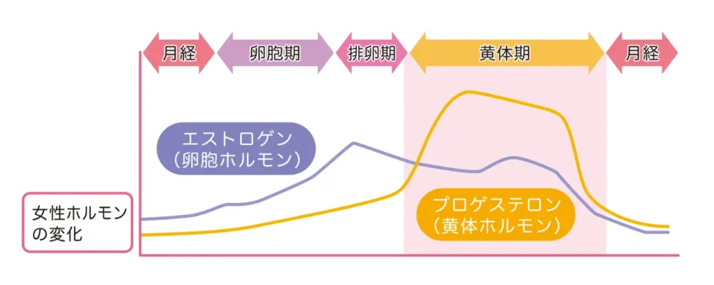 28日間の女性ホルモン量の変化グラフ