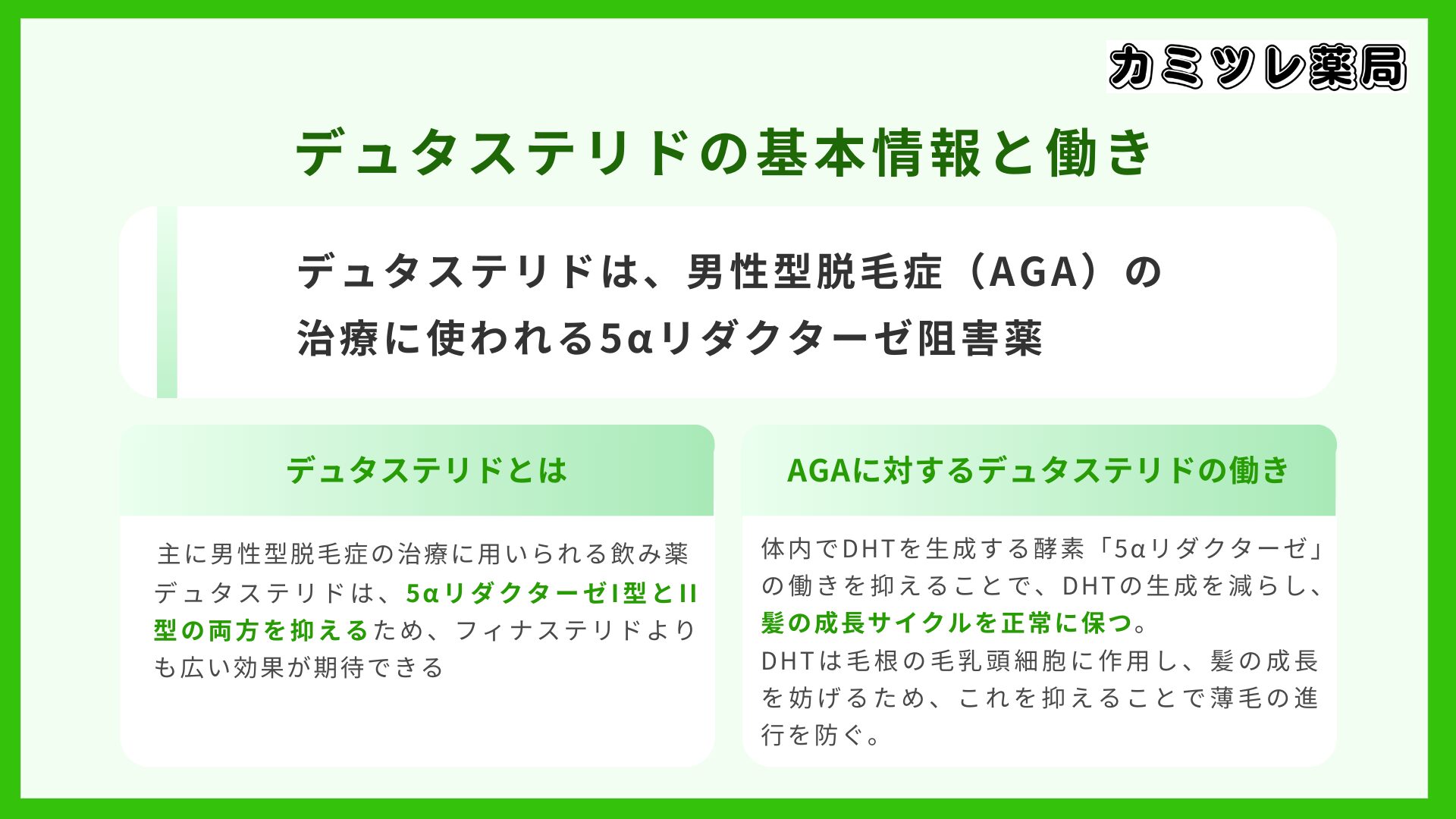 デュタステリドの基本情報と働きの画像