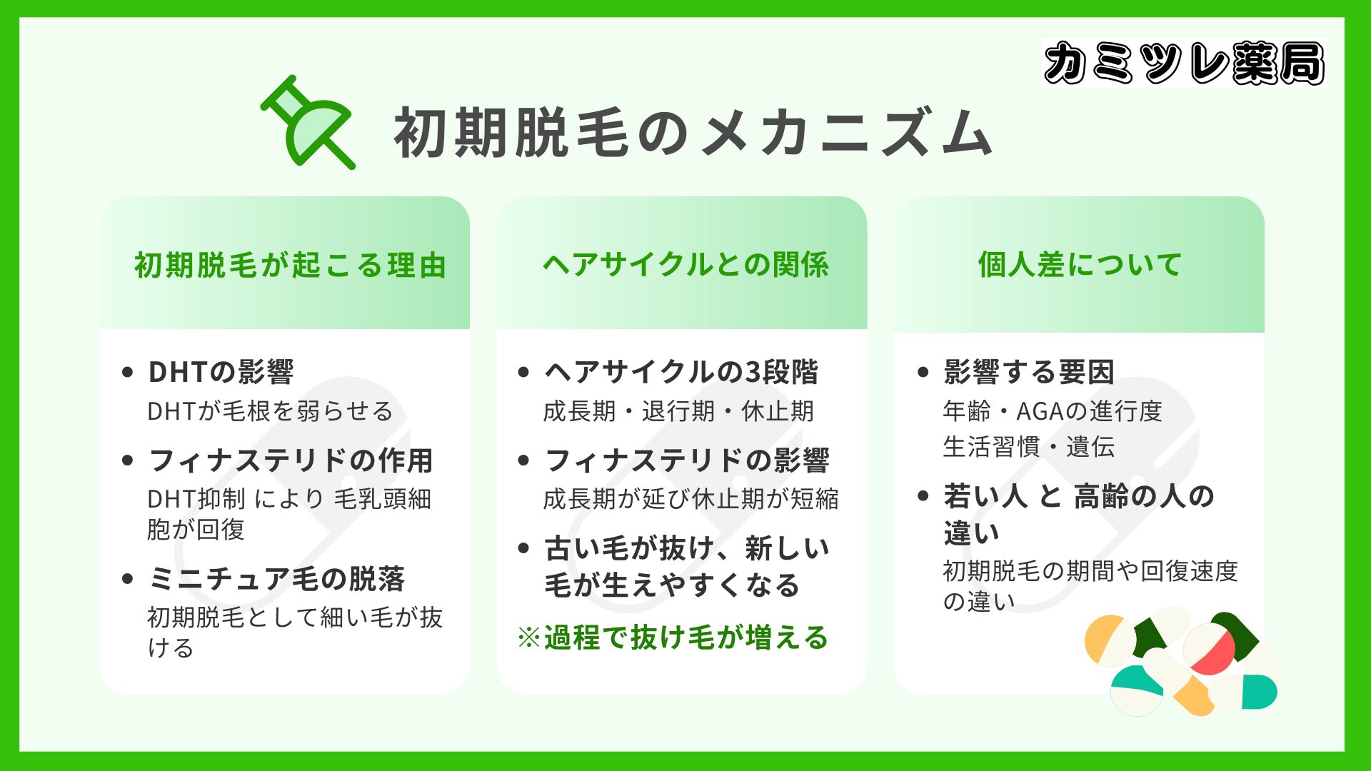 フィナステリドによる初期脱毛のメカニズムの画像